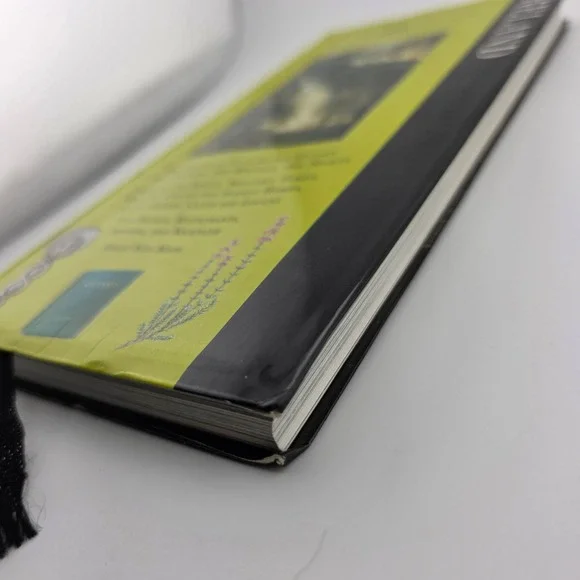 Knopf Guides Ireland Travel Guide Book Vintage 2001‎ - Picture 5 of 11